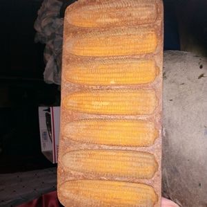 Rusty Corn Cob Cornbread Mold
